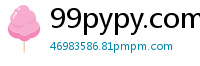 99pypy.com